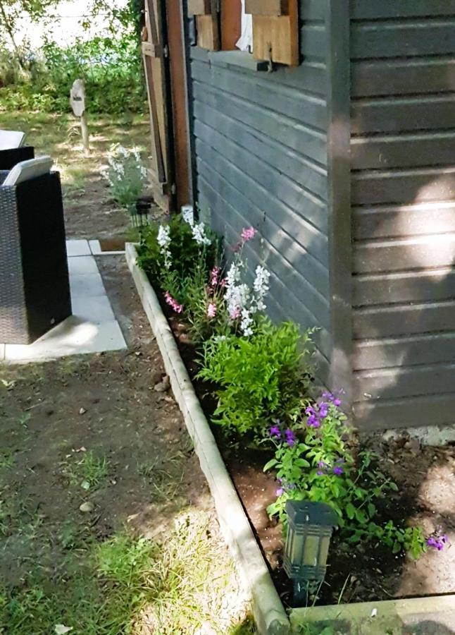 Chalet Du Moulin Cussac-Fort-Medoc Екстер'єр фото